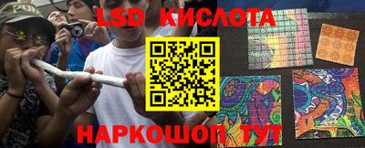 спиды Шебекино